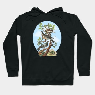 Dove Nature Illustration Hoodie